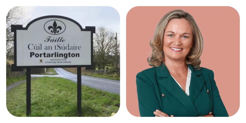 "Voters want housing, education and immigration reform" says Laois TD hopeful 