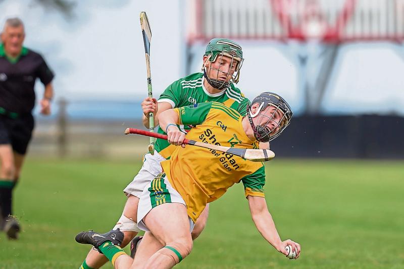 Kilkenny IHL- Back-to-back wins secures championship safety for ever-improving Dunnamaggin