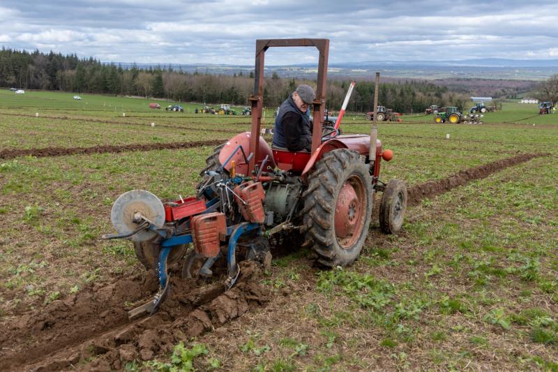 Another Vintage year for Laois at the 2024 National Ploughing Championships