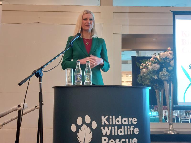 Kildare Biodiversity Conference 2024 to take place in well-known Newbridge establishment