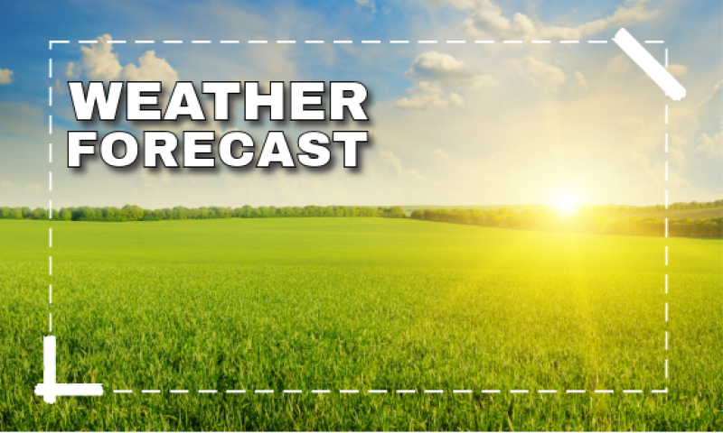 What is the weather forecast for the National Ploughing Championships this week