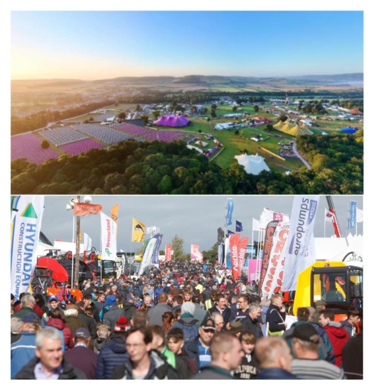 Local judge says there is more trouble at Ploughing than the Electric Picnic