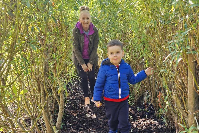 Revitalised Derry garden will offer &lsquo;oasis&rsquo; for local people and insects