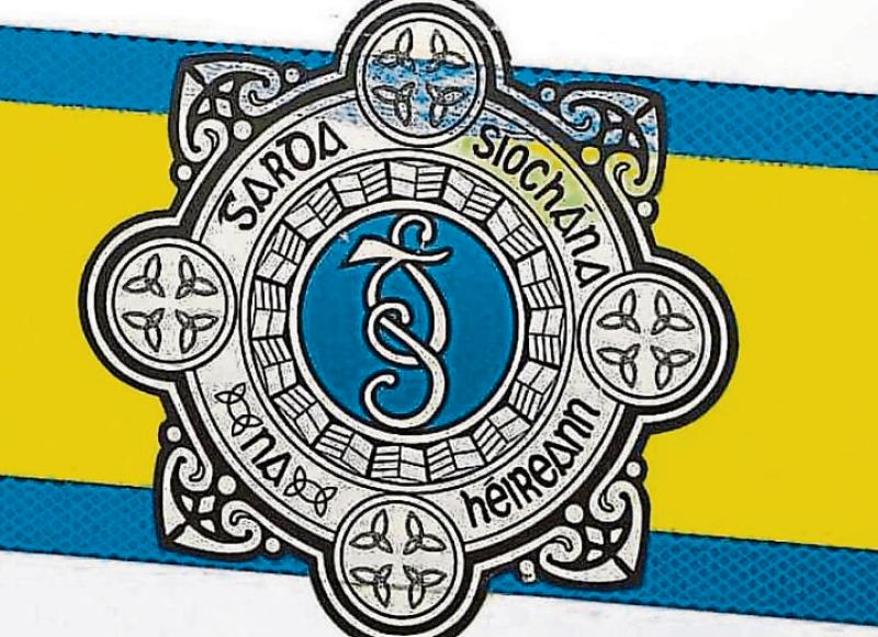 Garda appeal for witnesses following Kilkenny farm burglary