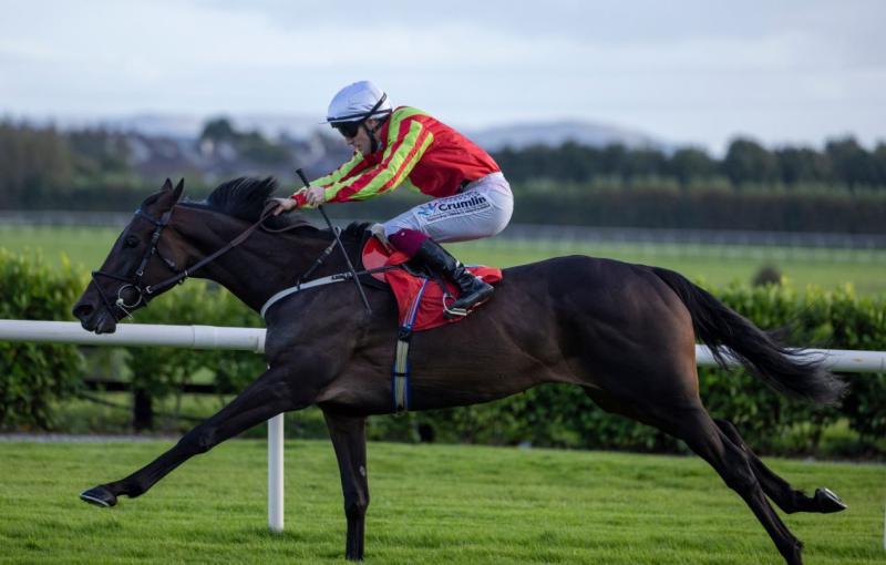  Paddy Twomey-trained Beechwood and Billy Lee finish first in a thrilling win