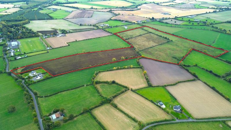 PROPERTY: &euro;750,000 price tag for 55 acres of Laois farmland 