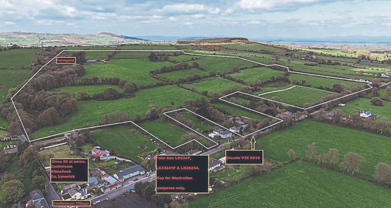 Your farm is your Castle: Million euro Limerick land up for auction