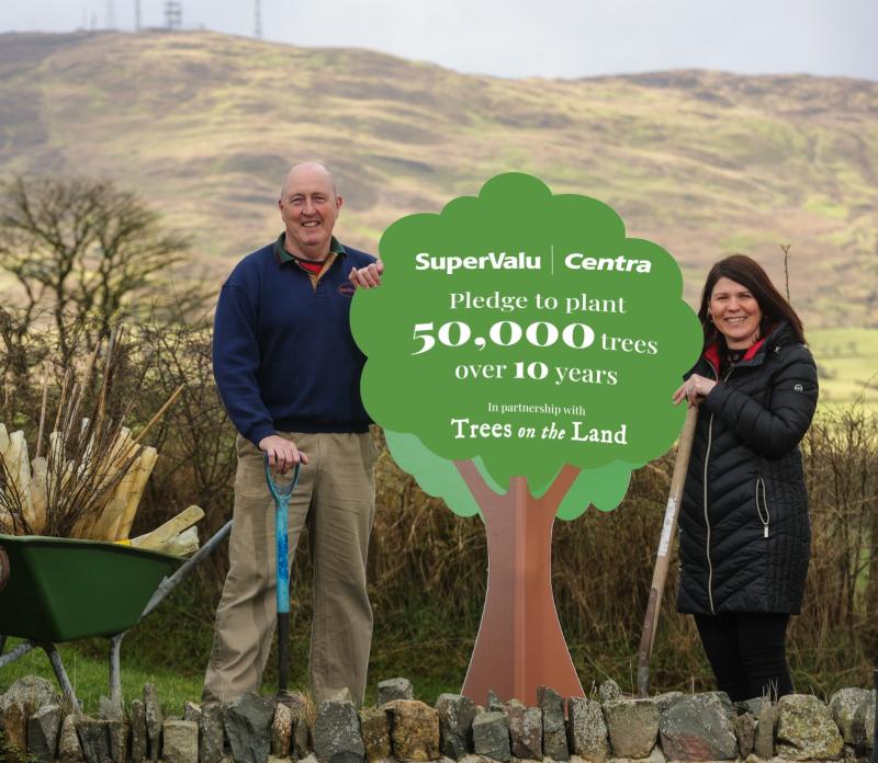 Planting projects encourages Derry community groups to apply for trees