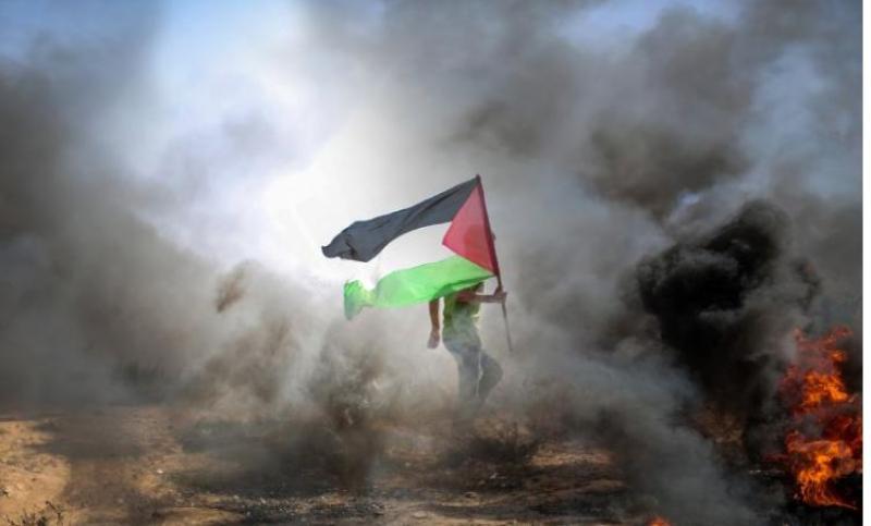 Offaly group to mark 'one year of genocide in Gaza'