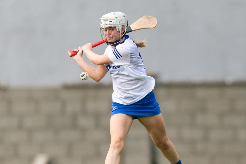 PREVIEWS: Thurles Sarsfields will hope to make very first senior final this weekend