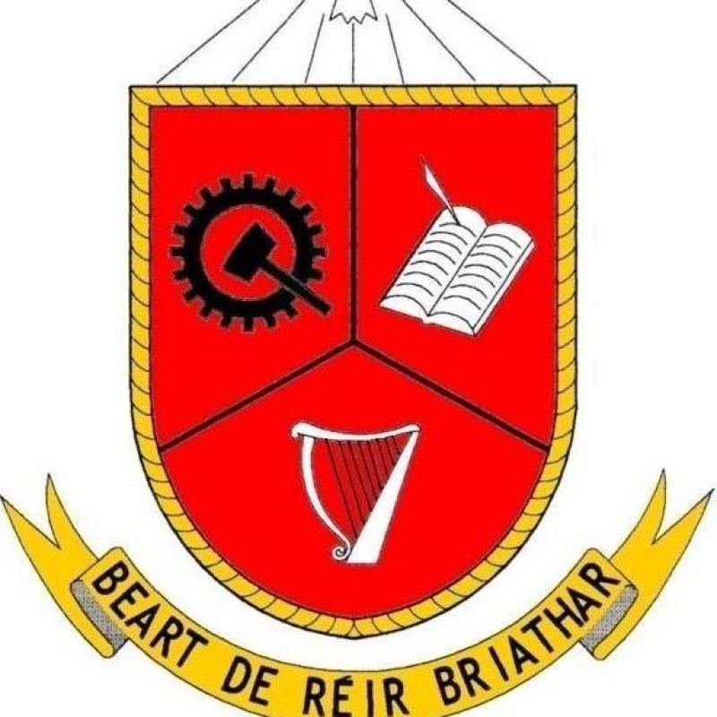 Longford Senator queries delay in delivery of nine classrooms at Granard secondary school