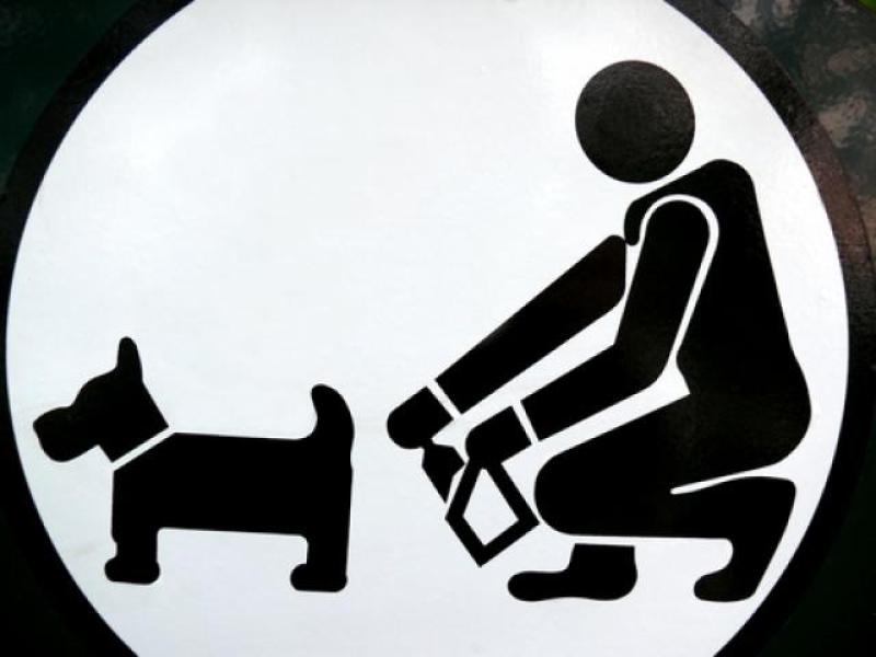 Laois GAA Club hits out against 'dog fouling' on pitches