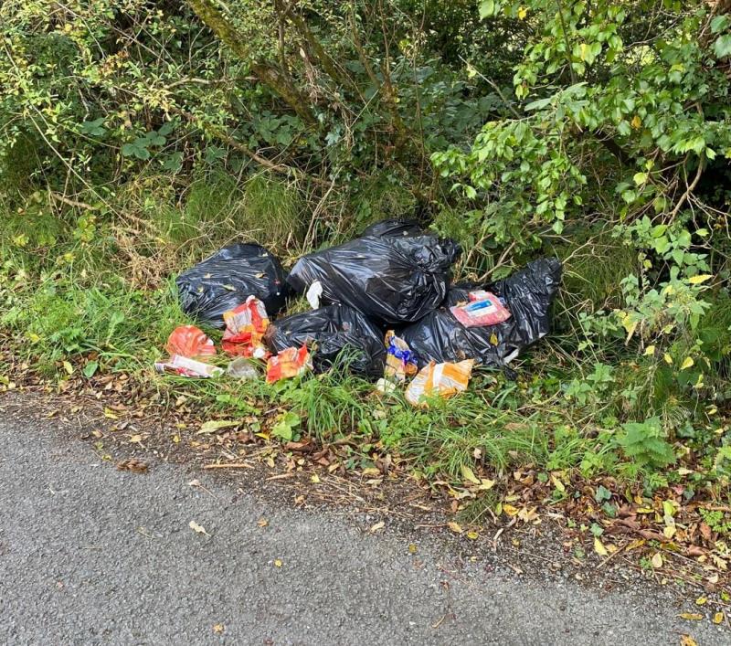 ‘Very disappointing’ - Waterford Council owed thousands as dumping fines remain unpaid
