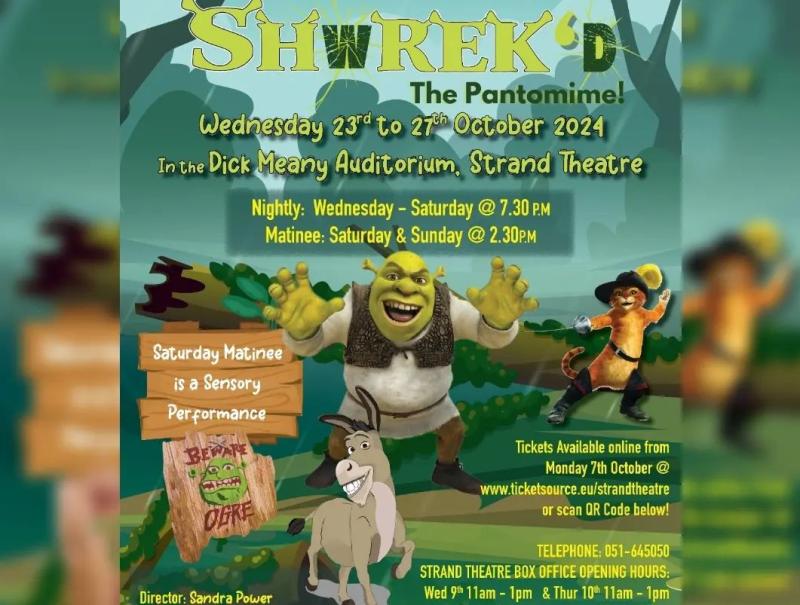 Final rehearsals taking place for Carrick-on-Suir Musical Society's panto SHwREK'D 