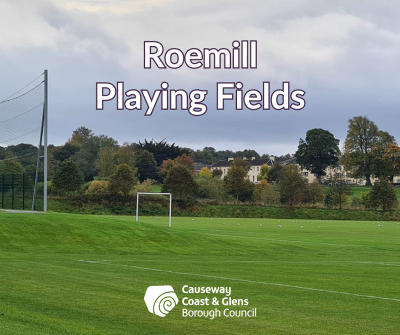 Increase in dog fouling at playing fields in Limavady leads council to remind dog owners to act responsibly