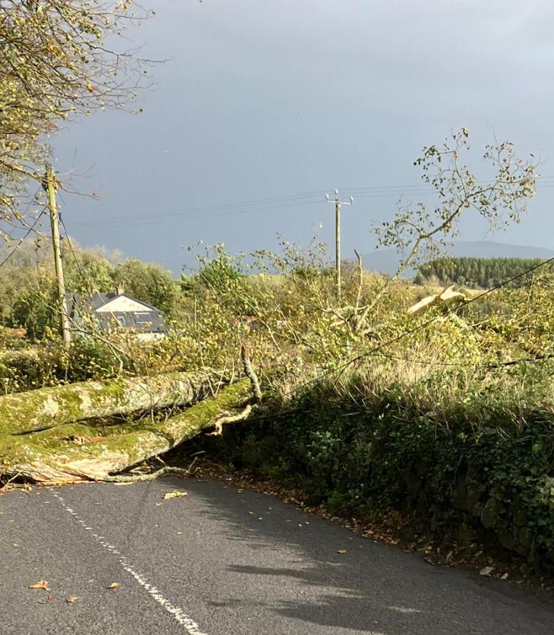 Storm Ashley left thousands without power in Limerick but damage kept to  a minimum