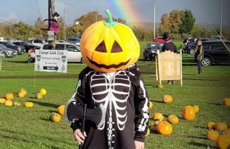 'Awful fright' for families on road to GAA club near Portlaoise