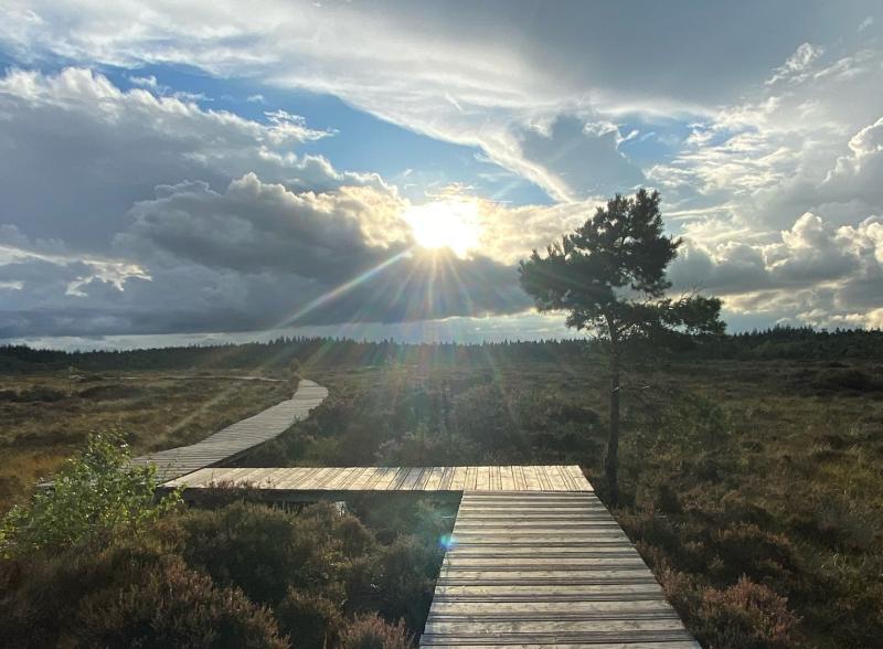 Laois Councillors welcome new greenway connecting Laois bogs