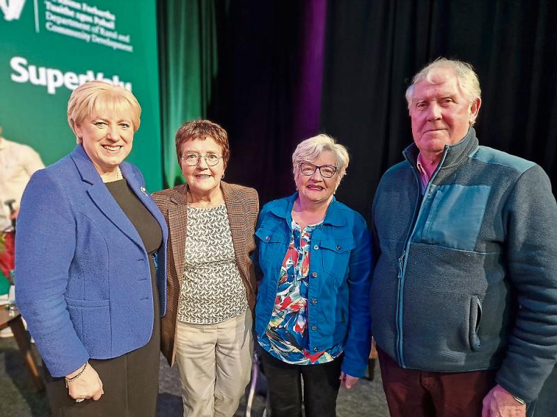 Abbeyshrule scoops county's top TidyTowns award as dedicated Longford groups increase marks 