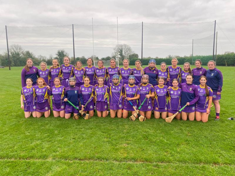 Laois camogie club launches fundraiser to  support Intermediate Leinster final bid