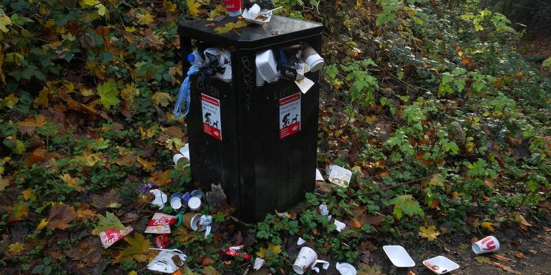 'Why have we only half of a litter warden?' Lifford-Stranorlar Councillor asks 