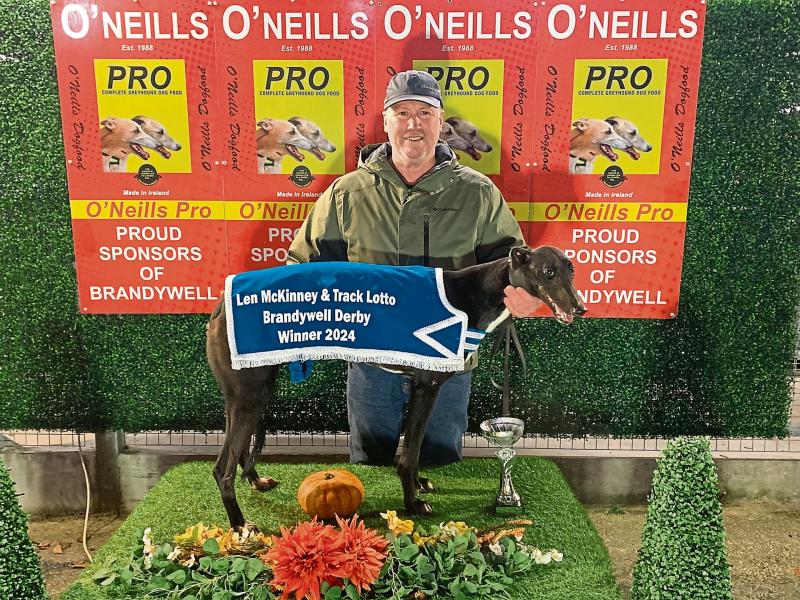 Derry Greyhounds: Sweet, sweet success for La Calabaza in Derby run