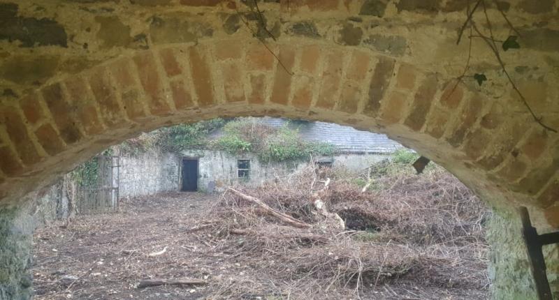 Department of Housing intervenes in  planning issue on Tipperary farm purchased by Coolmore
