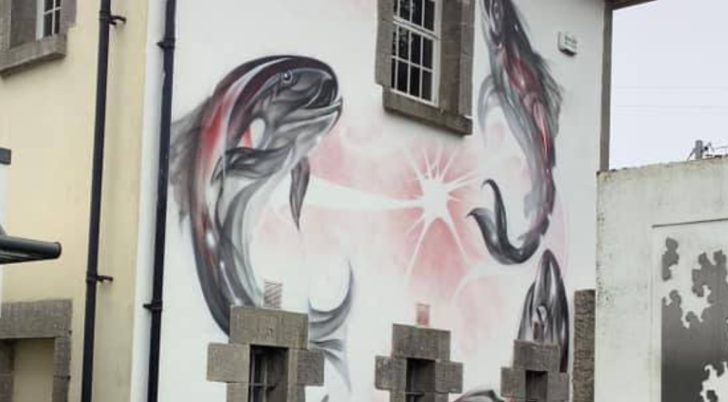 Laois community reveal new mural
