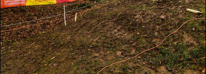 Tipperary athletes will line up for Munster Masters Cross Country Championships