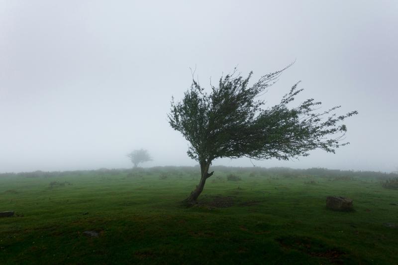 Public warned to take precautions as Storm Darragh to bring strong winds and heavy rain