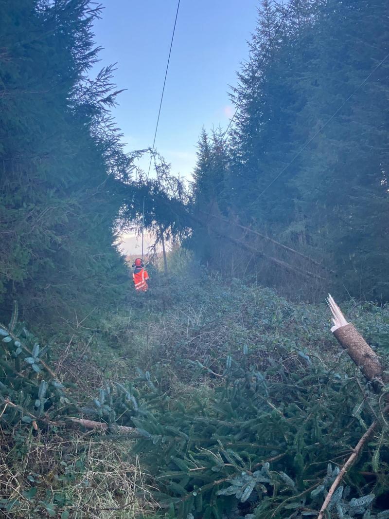 Hundreds in Kildare affected by Storm Darragh