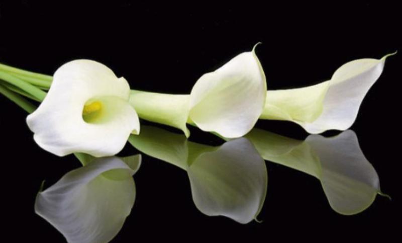 RIP: Tipperary deaths and funeral details, December 11