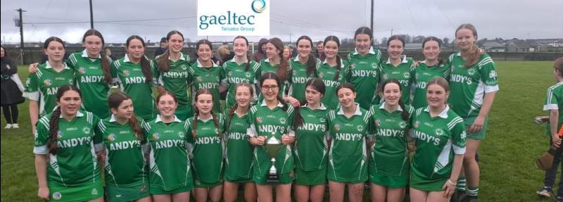 Shefflin stars for Shamrocks in Under 16 camogie county final