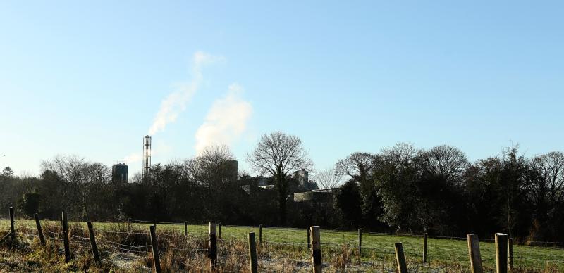 Probe launched into large-scale, unlicensed tree felling in Killygordon