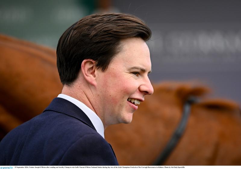 Tipperary trained Banbridge is best backed horse for the festive feature race this week 