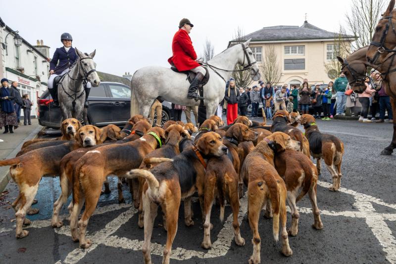 Laois Hunt defends fox hunting after criticism by local animal rescuer