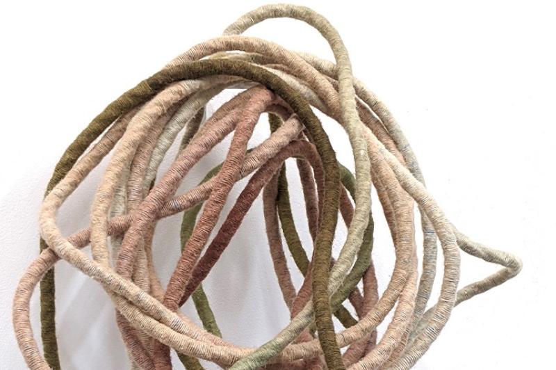 Artist holds first major museum show in Kilkenny