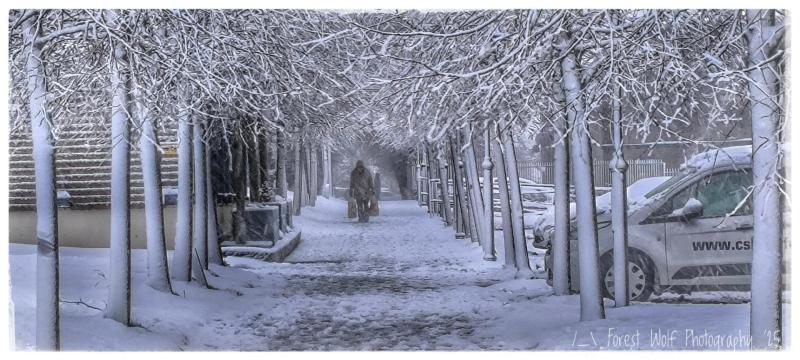 BREAKING: Many Laois schools to remain closed due to snow and icy conditions