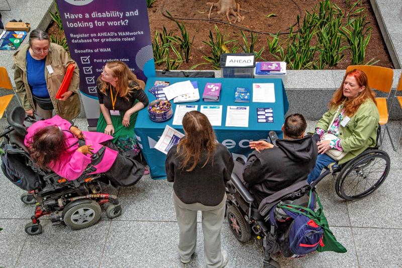 Breaking employment barriers in Kildare for graduates with disabilities