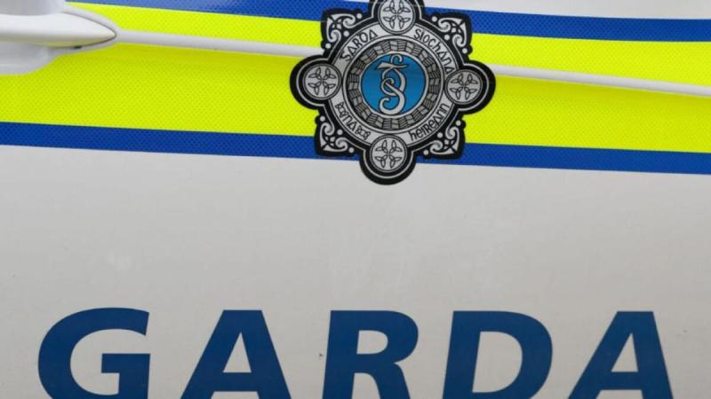 Longford Garda&iacute; put out appeal for witnesses to collision 