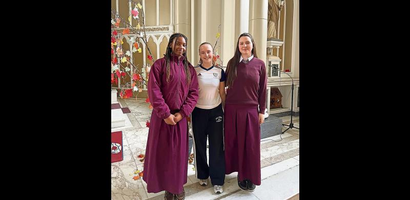 Limerick students shine with BT Young Scientist project on women’s health and fitness