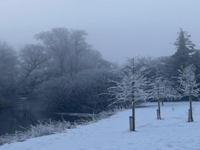LIVE: Council to concentrate efforts on providing access to isolated households in Tipperary