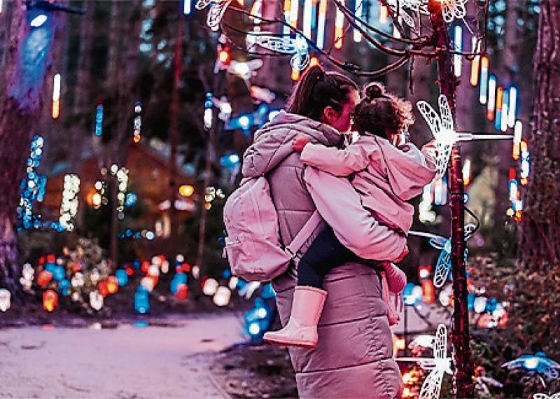 Center Parcs Longford Forest transformed with dazzling projections