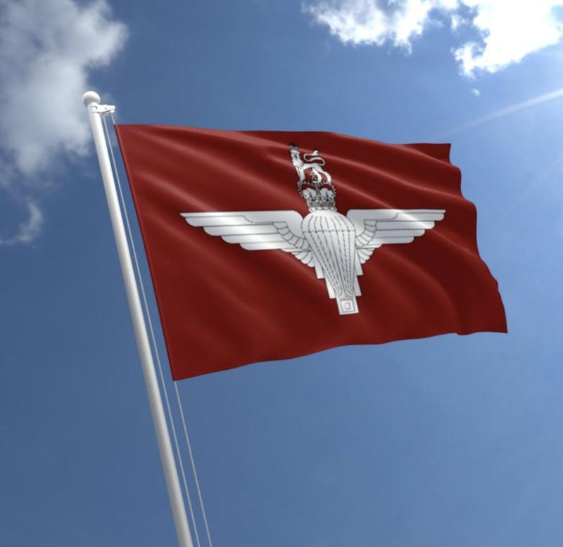 Equality Commission investigation findings of Derry council's banning of Para flags delayed 