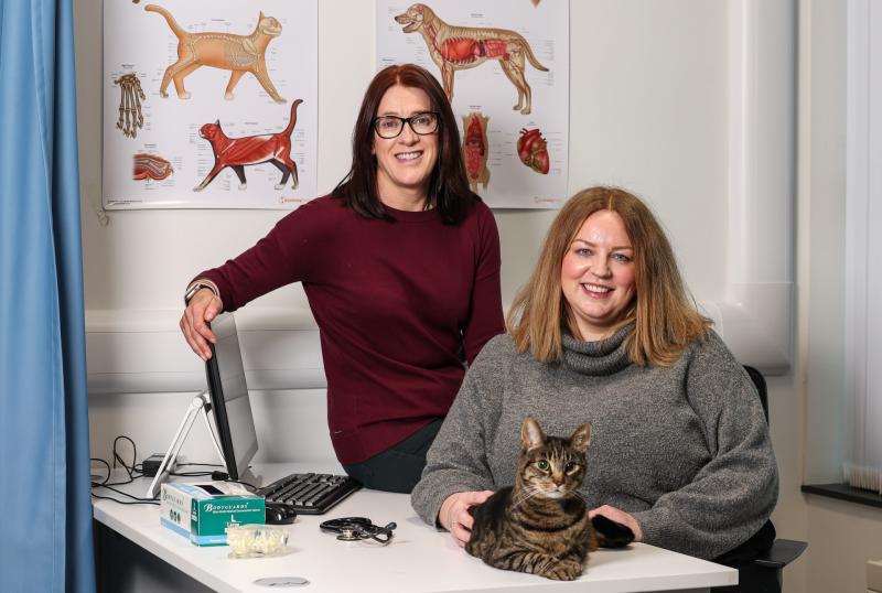 NI to begin training veterinary nurses at degree level as course gets underway at Ulster University in Coleraine