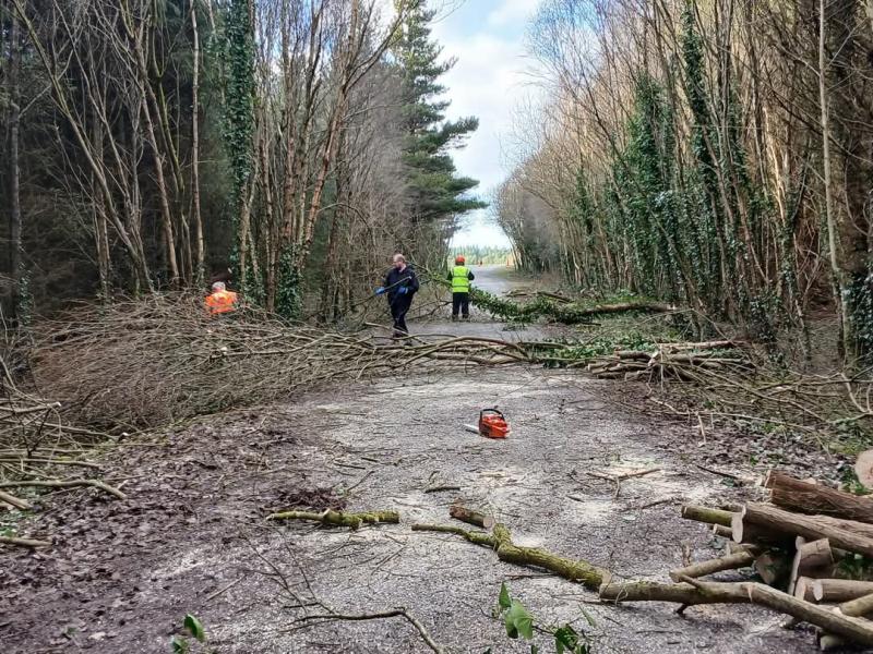 Essential maintenance carried out at popular Laois walking route 