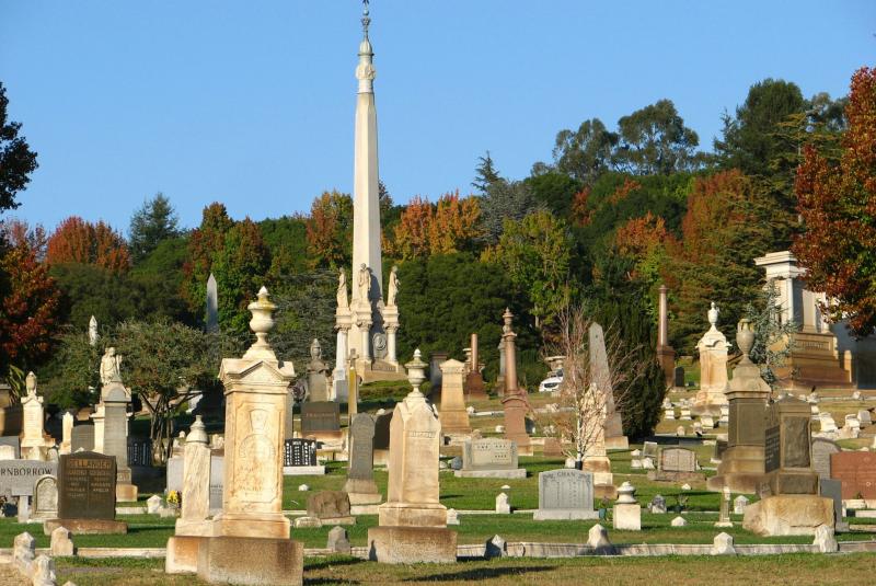 Five new potential sites for burial grounds identified in Tipperary