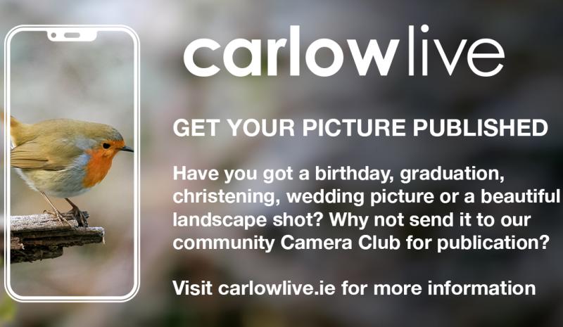 Got a festive picture over Christmas? Send it to the Carlow Camera Club! 