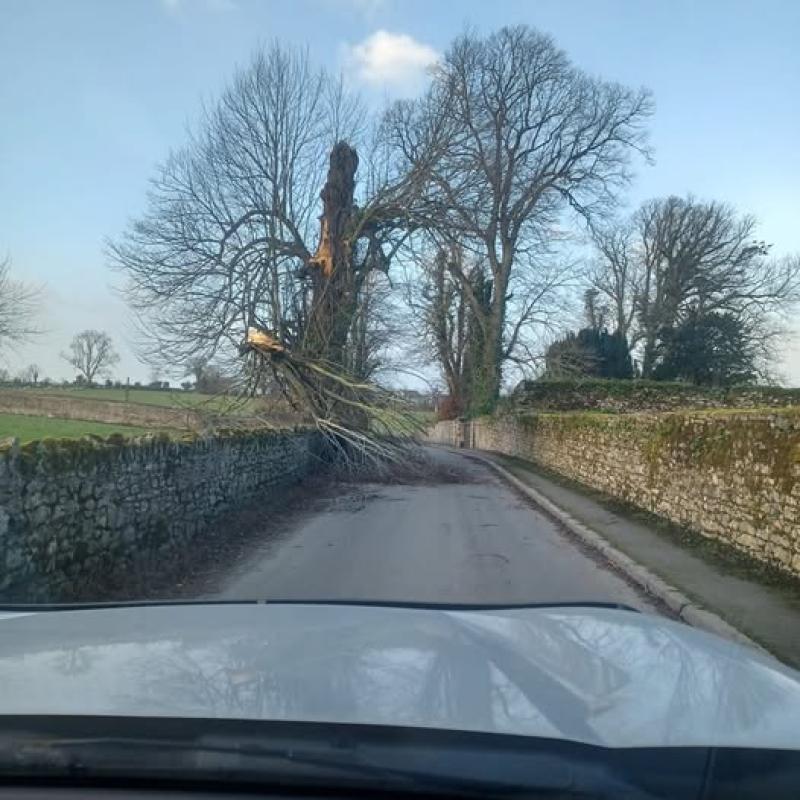 LATEST: Access to Kilkenny village partially blocked by fallen tree 
