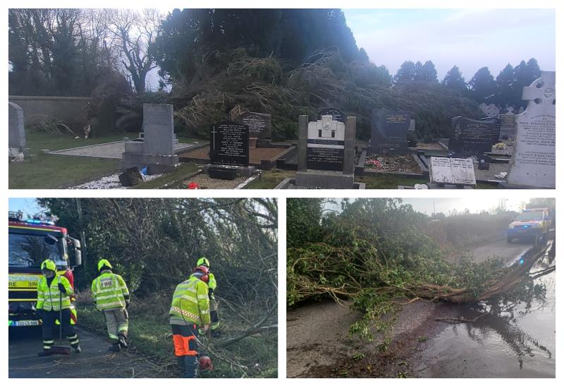 In Pictures: Trail of damage left through Laois by Storm Eowyn